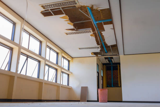 Best Sewage cleanup and water damage restoration  in Bridgewater Center, NJ