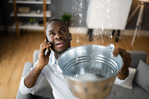 Best Fire Damage Restoration  in Bridgewater Center, NJ