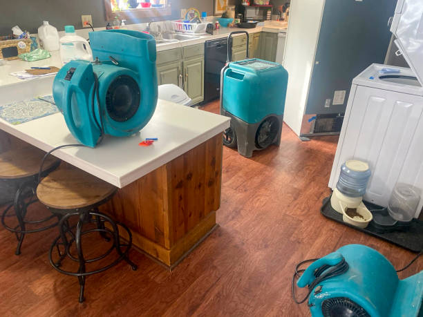 Best Water damage restoration process  in Bridgewater Center, NJ