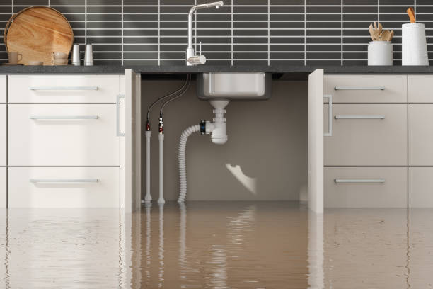 Best Water damage restoration near me  in Bridgewater Center, NJ