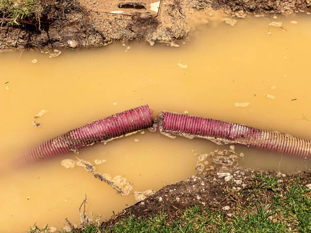 Best Flood restoration services  in Bridgewater Center, NJ